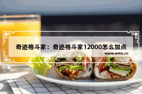 奇迹格斗家：奇迹格斗家12000怎么加点