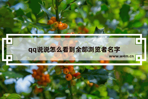 qq说说怎么看到全部浏览者名字