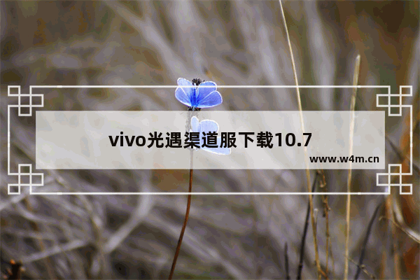 vivo光遇渠道服下载10.7