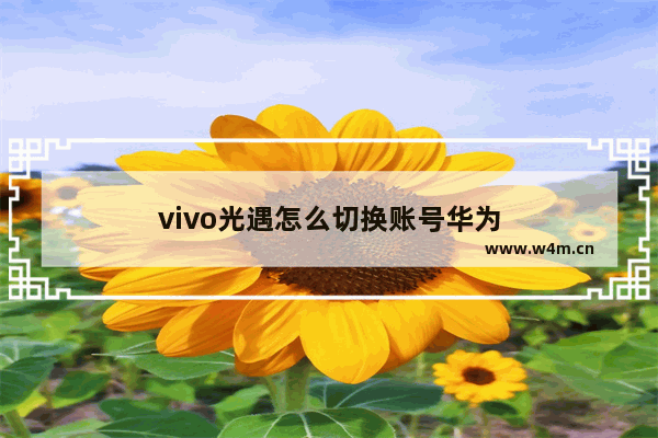 vivo光遇怎么切换账号华为