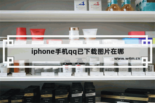 iphone手机qq已下载图片在哪