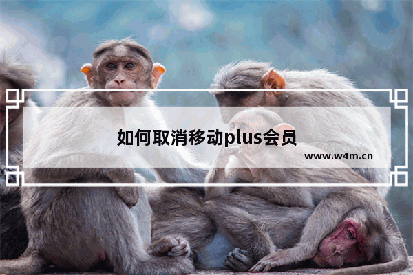 如何取消移动plus会员