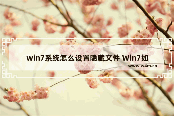 win7系统怎么设置隐藏文件 Win7如何设置隐藏文件