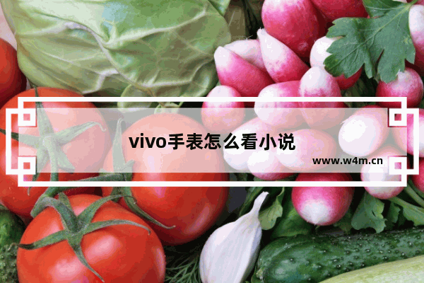 vivo手表怎么看小说