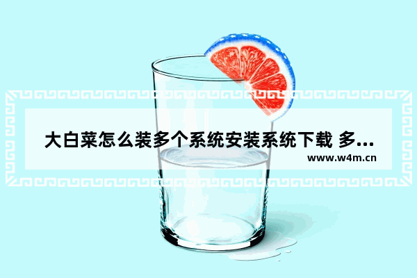 大白菜怎么装多个系统安装系统下载 多系统安装教程: 大白菜装系统