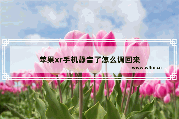 苹果xr手机静音了怎么调回来