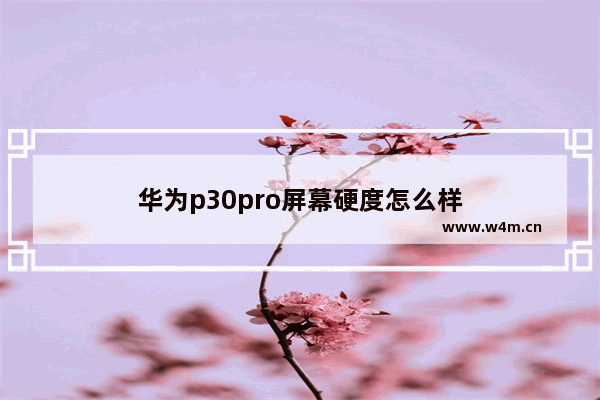 华为p30pro屏幕硬度怎么样