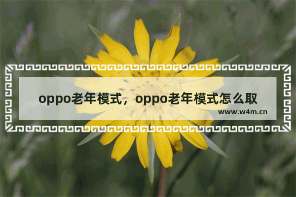 oppo老年模式，oppo老年模式怎么取消