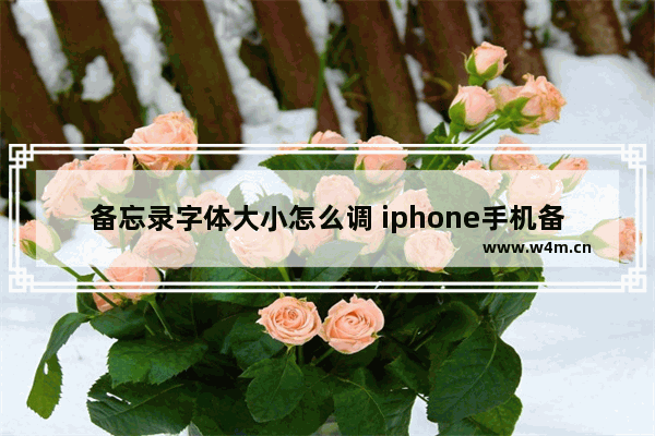 备忘录字体大小怎么调 iphone手机备忘录字体大小怎么调