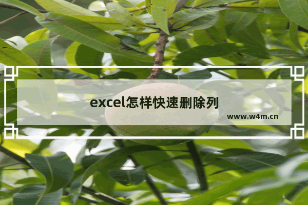 excel怎样快速删除列