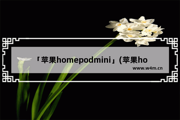 「苹果homepodmini」(苹果homepodmini音箱如何使用)