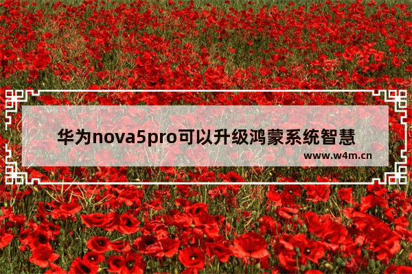 华为nova5pro可以升级鸿蒙系统智慧语音没了