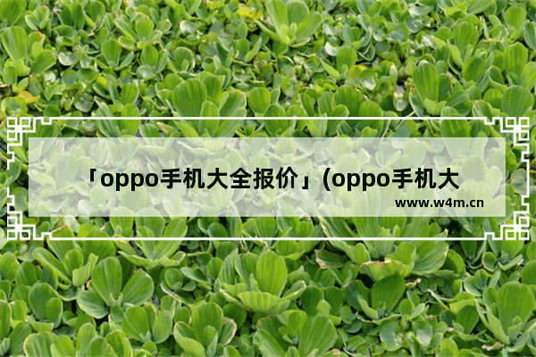 「oppo手机大全报价」(oppo手机大全报价及图片)