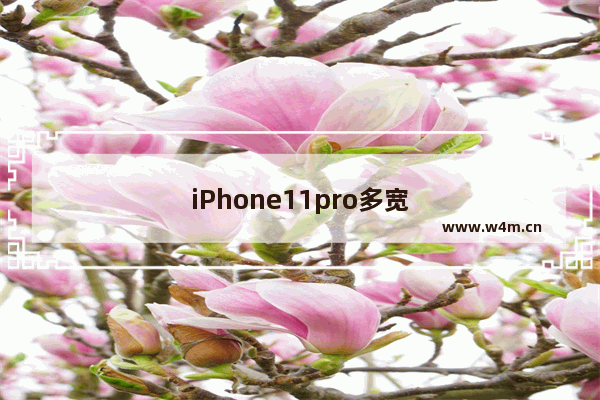 iPhone11pro多宽