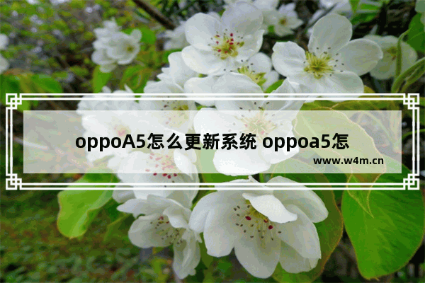 oppoA5怎么更新系统 oppoa5怎么更新系统版本