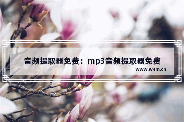 音频提取器免费：mp3音频提取器免费