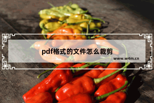 pdf格式的文件怎么裁剪