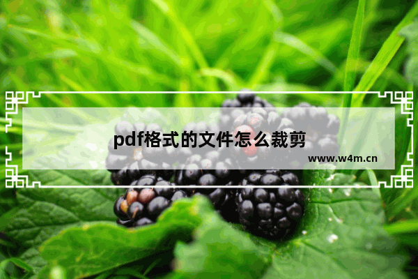 pdf格式的文件怎么裁剪