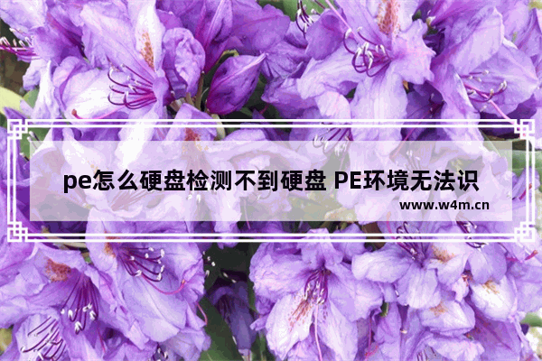 pe怎么硬盘检测不到硬盘 PE环境无法识别硬盘怎么办