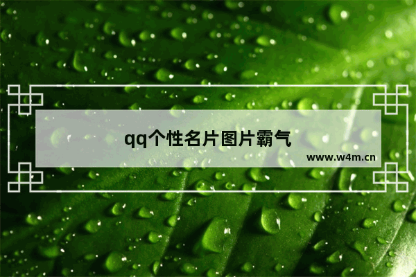 qq个性名片图片霸气