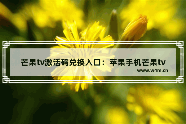 芒果tv激活码兑换入口：苹果手机芒果tv激活码兑换入口没有了