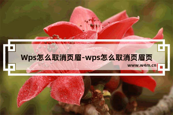 Wps怎么取消页眉-wps怎么取消页眉页脚的横线