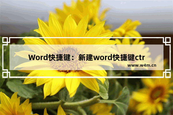 Word快捷键：新建word快捷键ctrl加什么