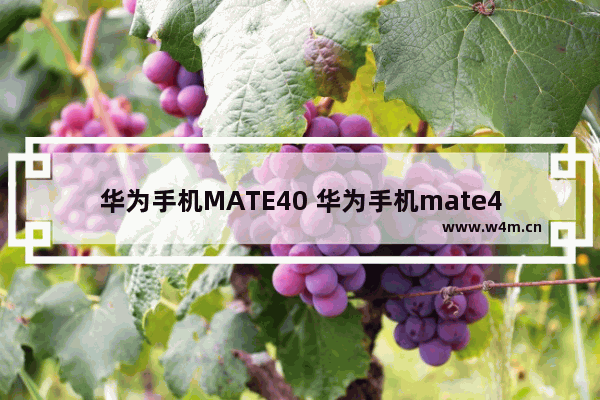 华为手机MATE40 华为手机mate40图片