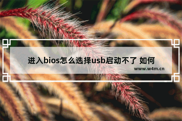 进入bios怎么选择usb启动不了 如何用bios选择USB启动？