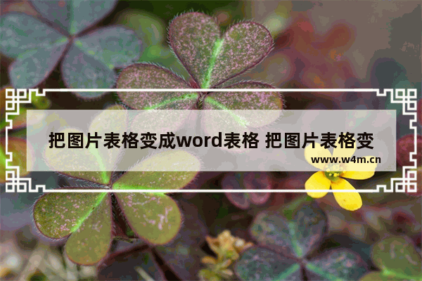 把图片表格变成word表格 把图片表格变成word表格软件