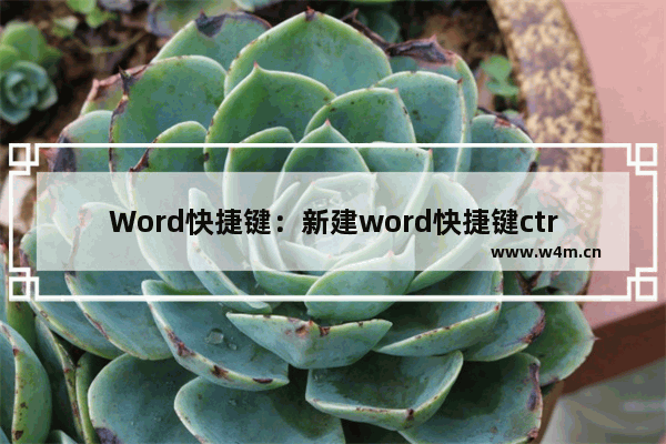 Word快捷键：新建word快捷键ctrl加什么