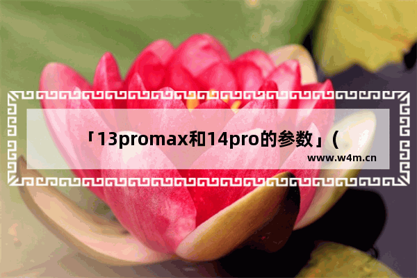 「13promax和14pro的参数」(13promax和14pro的参数对比)