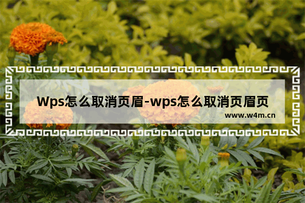 Wps怎么取消页眉-wps怎么取消页眉页脚的横线