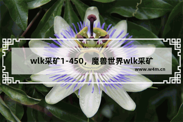 wlk采矿1-450，魔兽世界wlk采矿1-450级速冲攻略