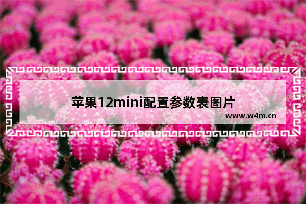 苹果12mini配置参数表图片