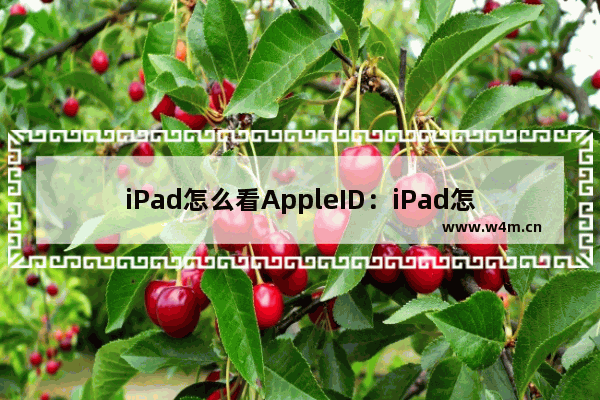 iPad怎么看AppleID：iPad怎么看AppleID用到哪里了