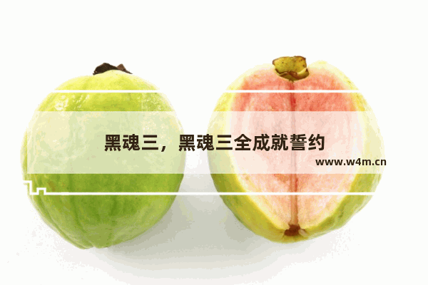 黑魂三，黑魂三全成就誓约