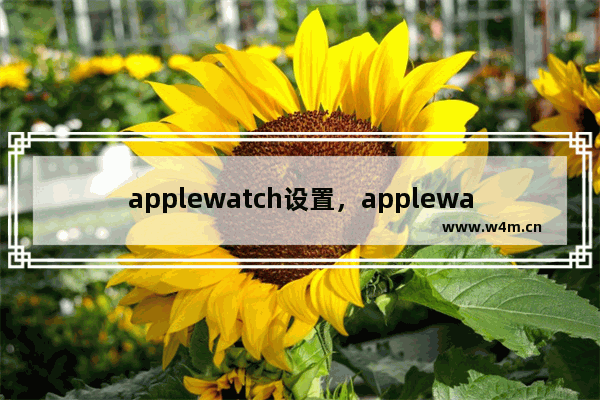 applewatch设置，applewatch设置左右手