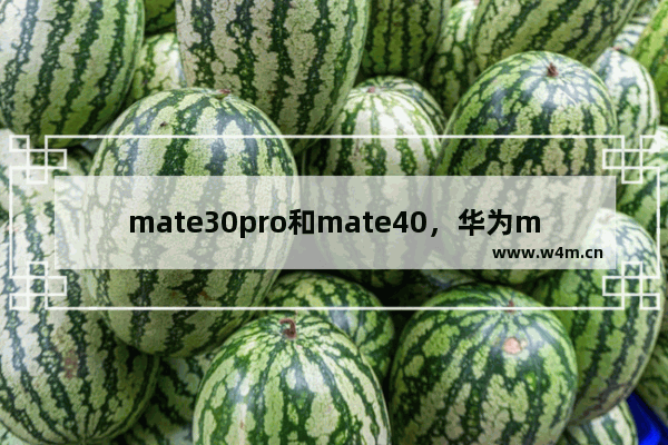 mate30pro和mate40，华为mate30pro和mate40pro参数对比图片