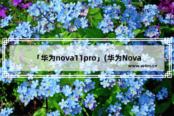 「华为nova11pro」(华为Nova11Pro最新消息)