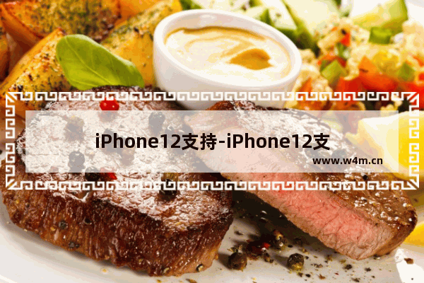 iPhone12支持-iPhone12支持SA吗