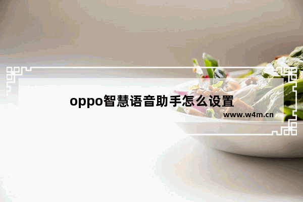 oppo智慧语音助手怎么设置