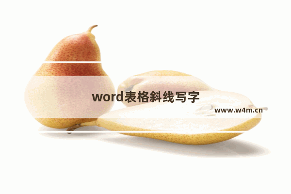 word表格斜线写字