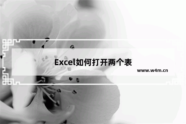 Excel如何打开两个表