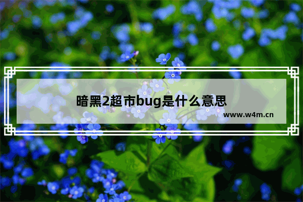 暗黑2超市bug是什么意思