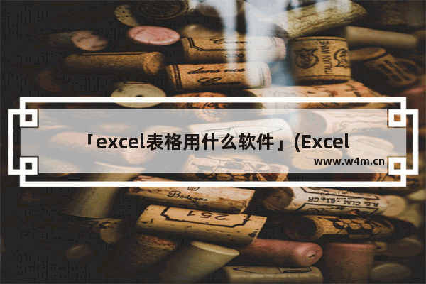 「excel表格用什么软件」(Excel表格用什么软件做)