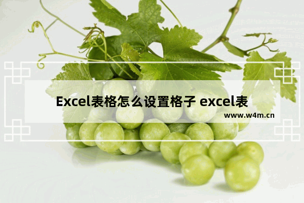 Excel表格怎么设置格子 excel表格怎么设置格子的高度