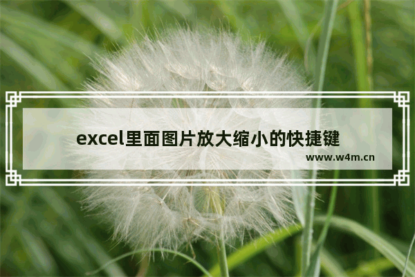 excel里面图片放大缩小的快捷键