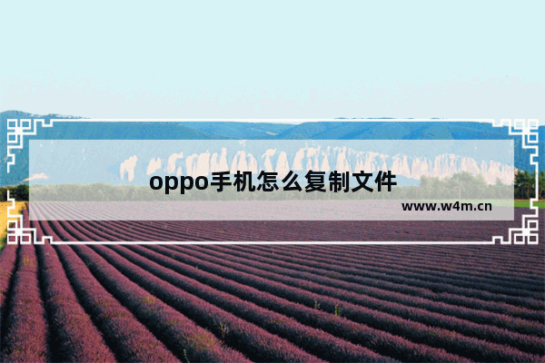 oppo手机怎么复制文件