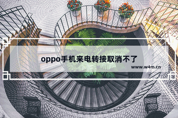 oppo手机来电转接取消不了